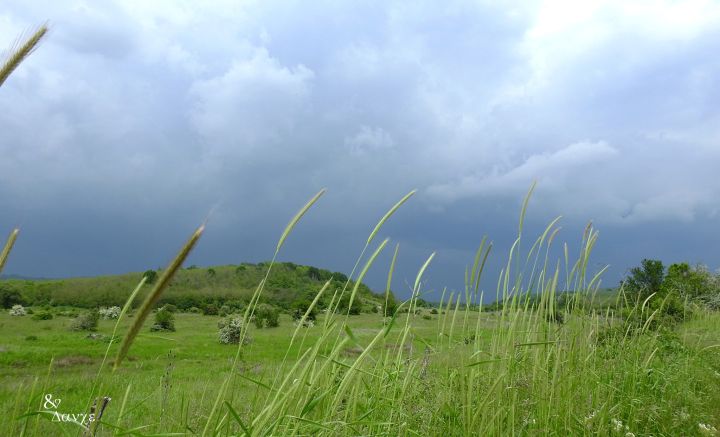 Времето днес: Облаци, превалявания и по-ниски температури